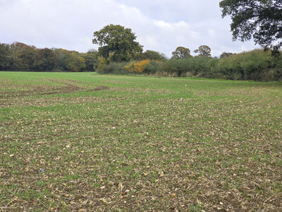 Bishops Green,  Land/Plot for sale, £25,000