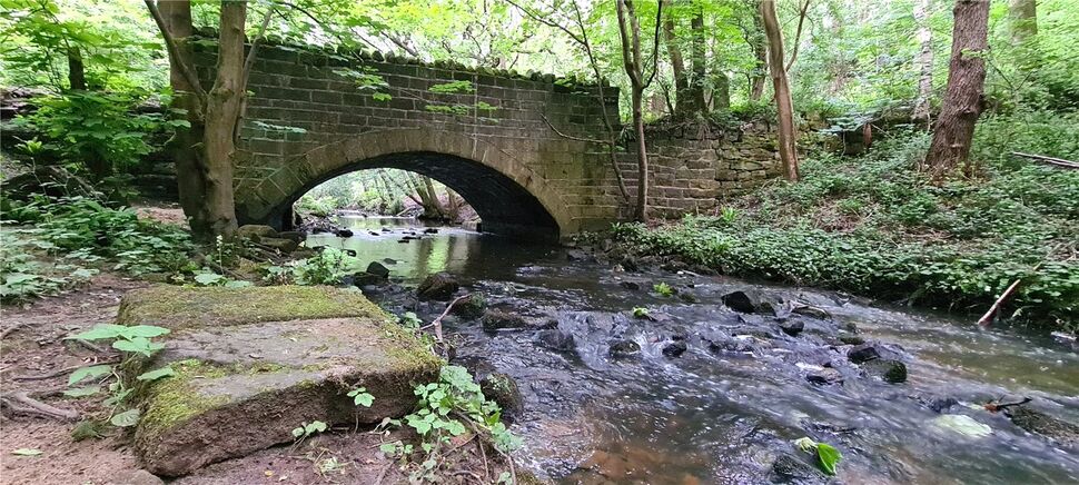 Image 33