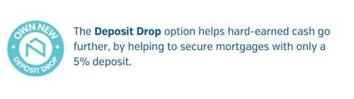deposit drop